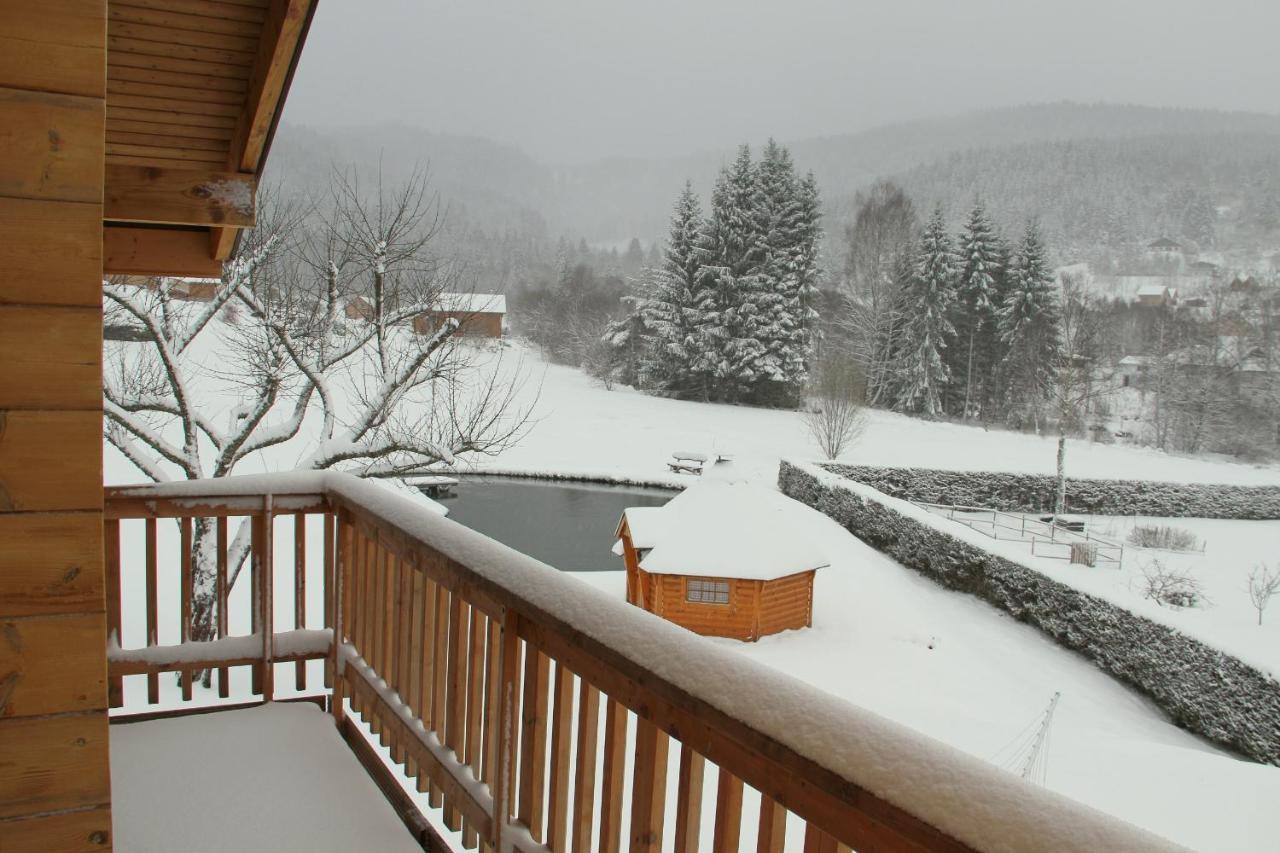 Chalet centaurée - Rémy HEROLD Xonrupt-Longemer Extérieur photo