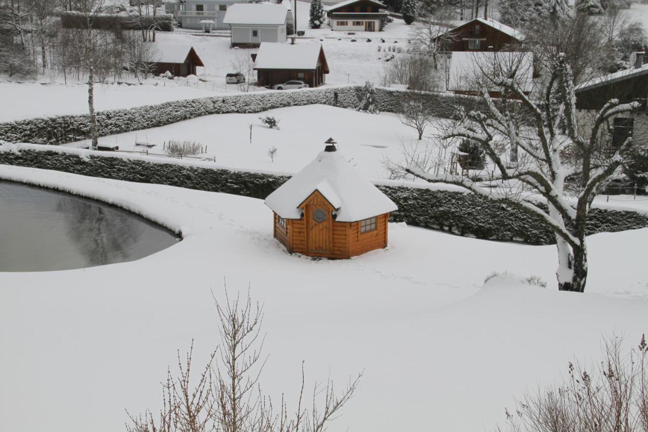 Chalet centaurée - Rémy HEROLD Xonrupt-Longemer Extérieur photo